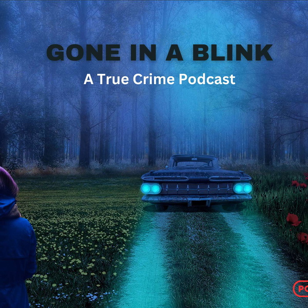 Artwork for Gone in a Blink