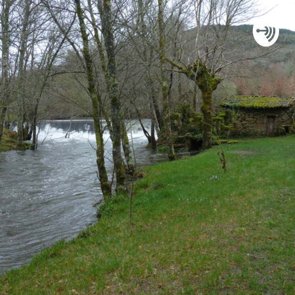 Artwork for Good Morning, Galicia!