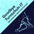 Goodbye Turnschuh-IT