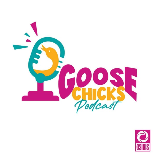 Artwork for Goose Chicks Podcast