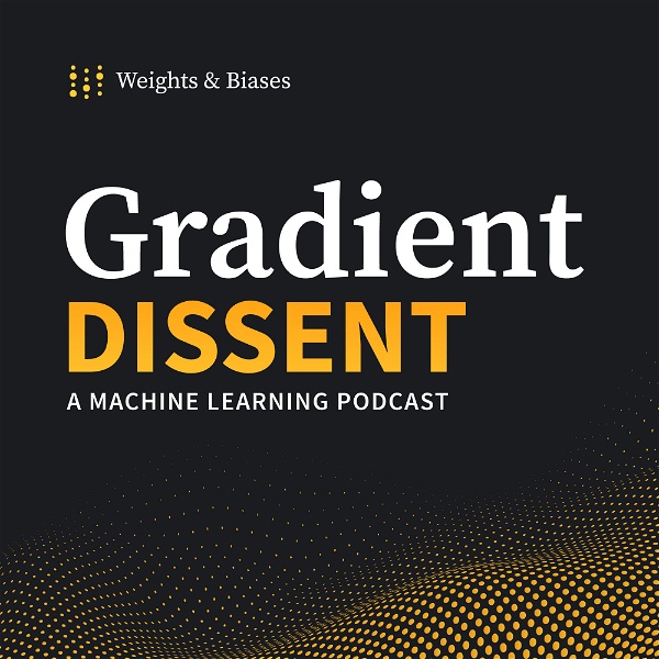 Artwork for Gradient Dissent: Conversations on AI