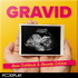 Gravid