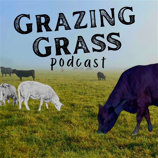 Artwork for Grazing Grass Podcast : Sharing Stories of Regenerative Ag