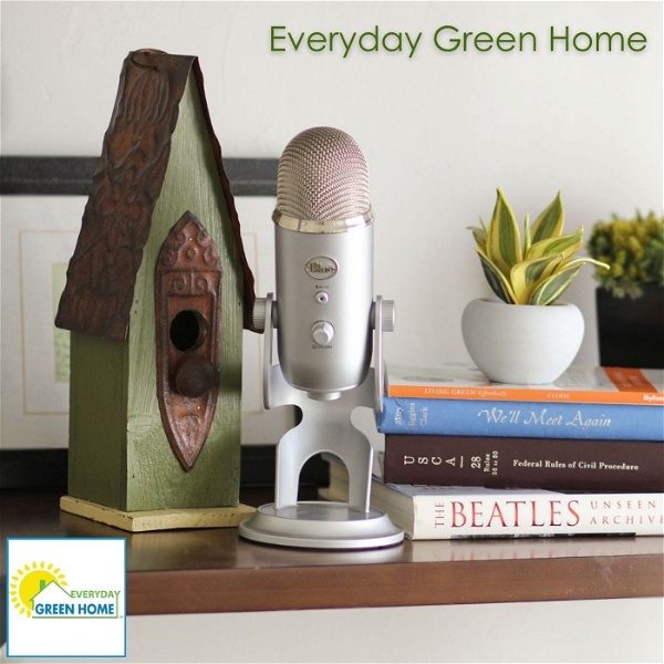 Artwork for Everyday Green Home