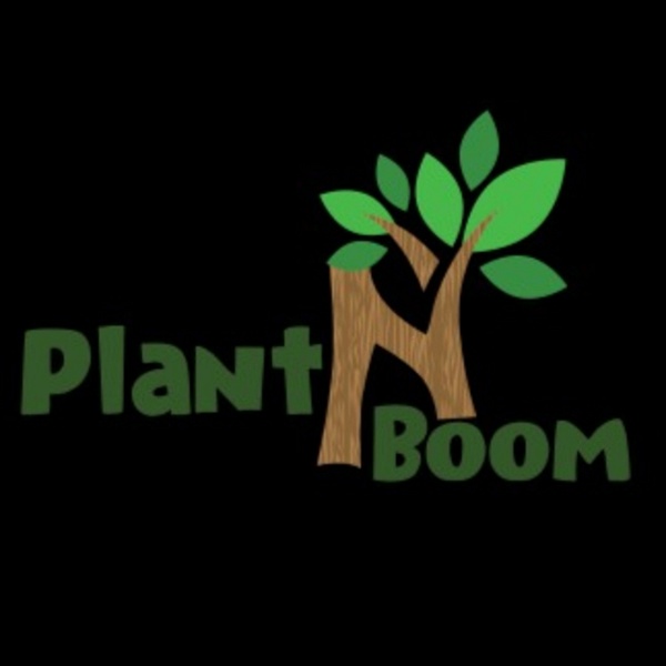 Artwork for Plant N Boom