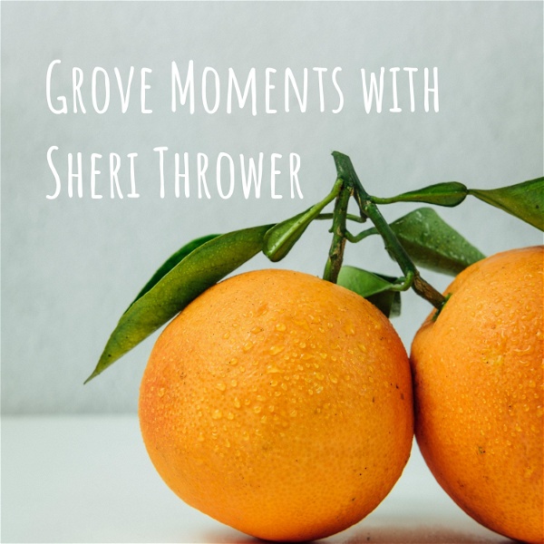 Artwork for Grove Moments