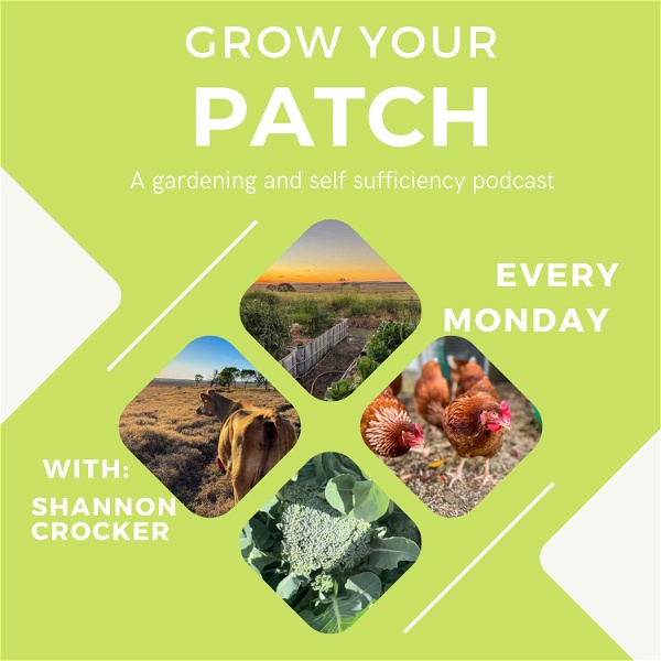 Artwork for Grow your patch