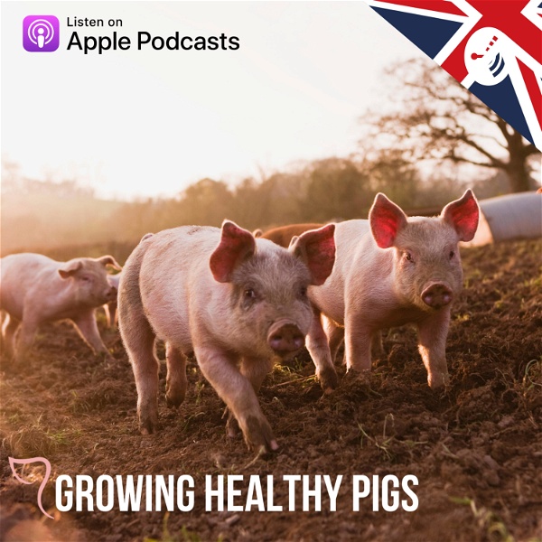 Artwork for Growing Healthy Pigs