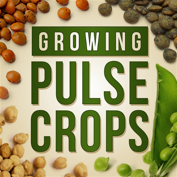 Artwork for Growing Pulse Crops