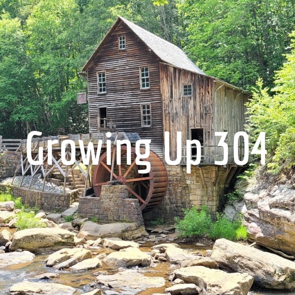 Artwork for Growing Up 304