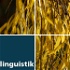 Grundlagen der Linguistik - WS 2011/12