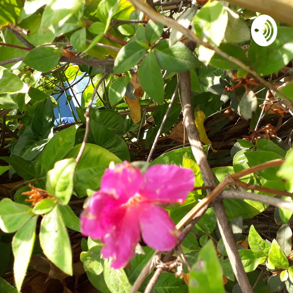 Artwork for grupo, Ana Beatriz,Cardozo Ferreira e Guilherme Briz