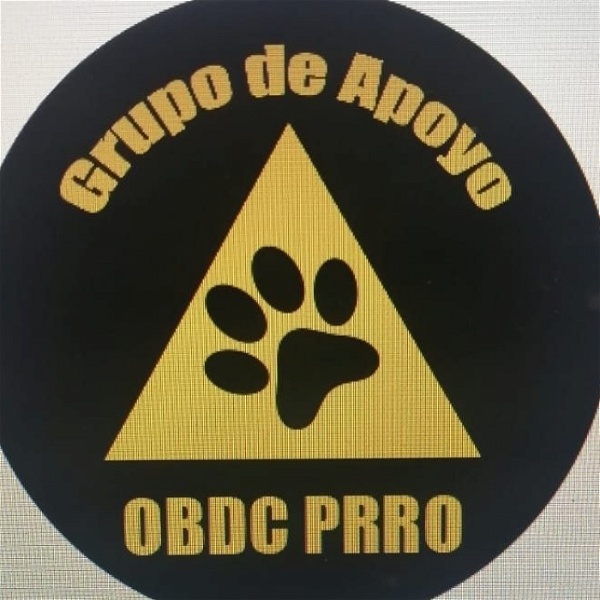 Artwork for Grupo de Apoyo OBDCPRRO