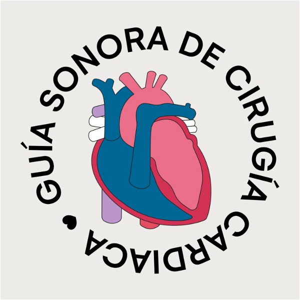Artwork for Guía de Cirugía Cardíaca