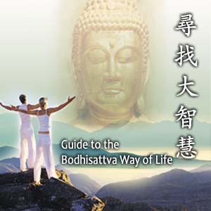 Artwork for Guide to the Bodhisattva Way of Life