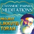 Chassidic Parsha Meditations