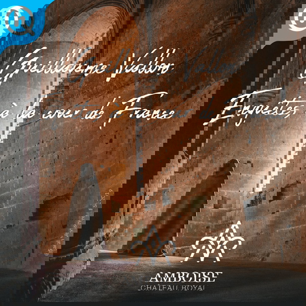 Artwork for Guillaume Vallon, enquêtes à la cour de France