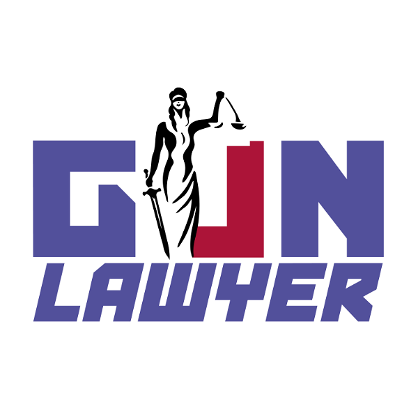 Artwork for Gun Lawyer