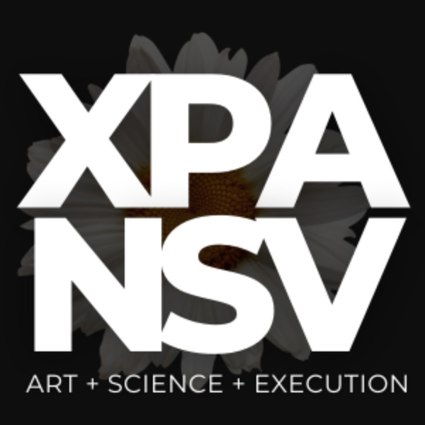 Artwork for Xpansv // art + science + execution