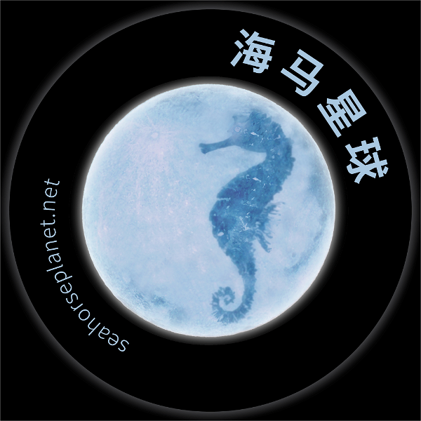 Artwork for seahorseplanet.net