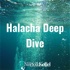 Halacha Deep Dive