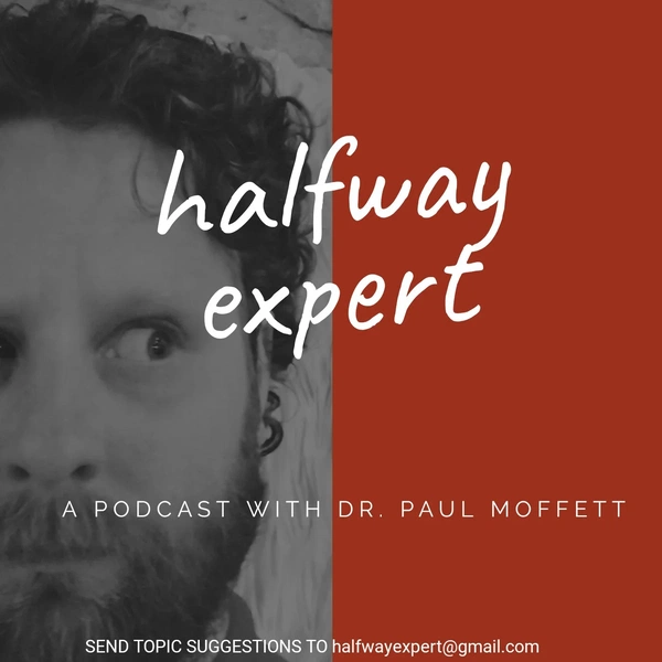 Artwork for Halfway Expert