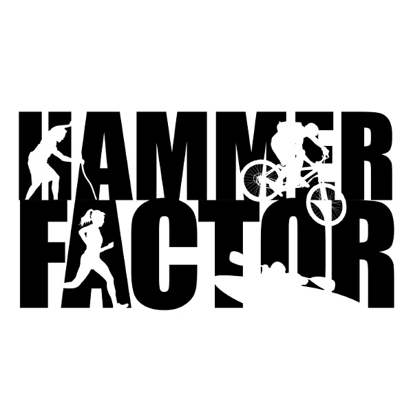 Artwork for The Hammer Factor