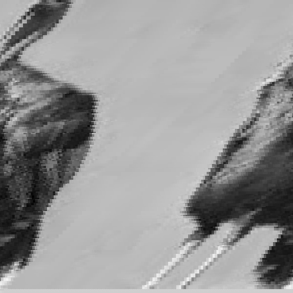 Artwork for Hardly Strictly Radio