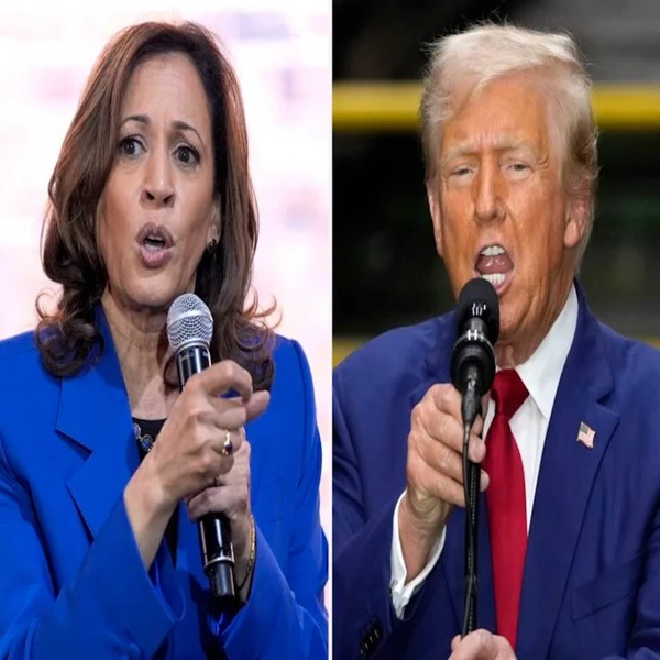 Artwork for Harris and Trump
