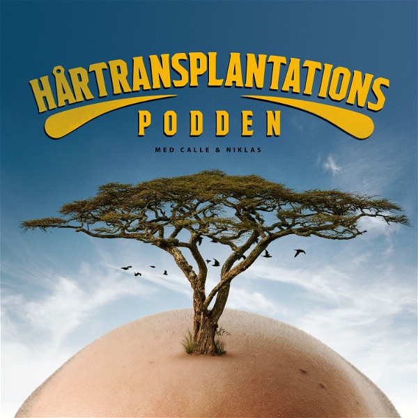 Artwork for Hårtransplantations Podden