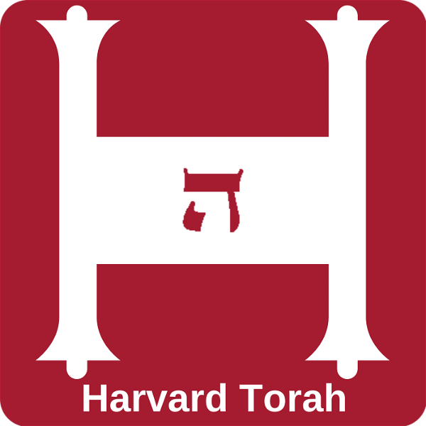 Artwork for Harvard Torah