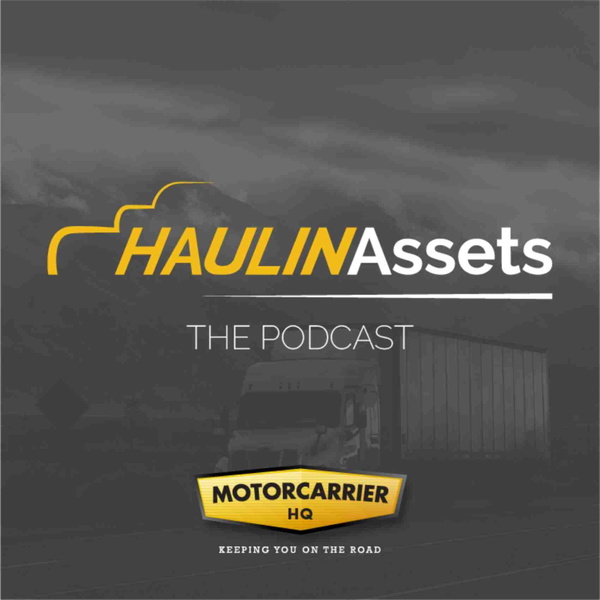 Artwork for Haulin Assets