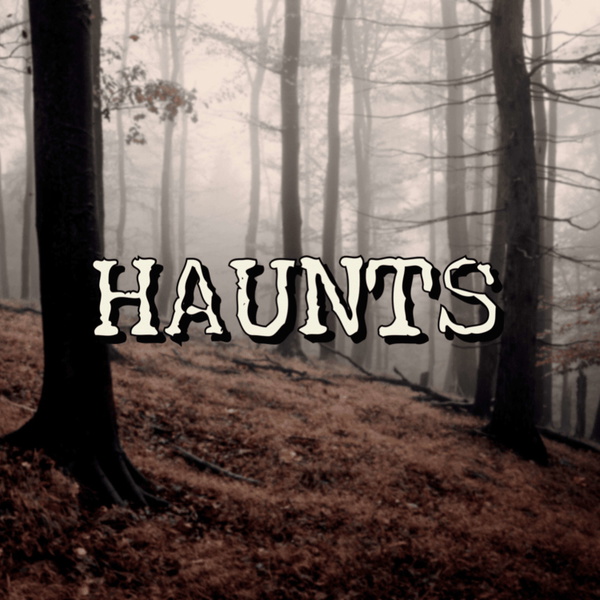 Artwork for Haunts