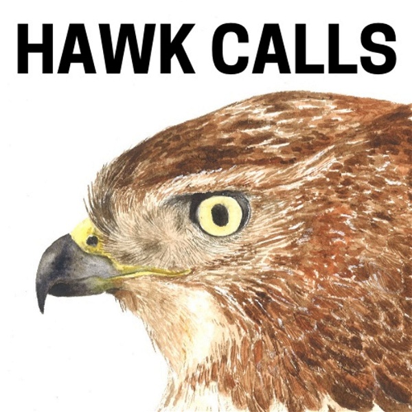 Artwork for Hawk Calls