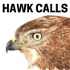 Hawk Calls
