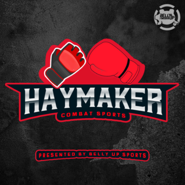 Artwork for Haymaker Combat Sports