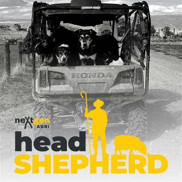 Artwork for Head Shepherd