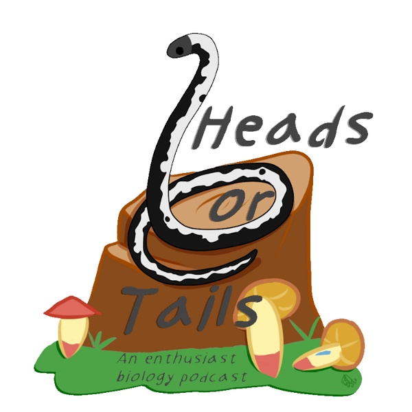 Artwork for Heads Or Tails