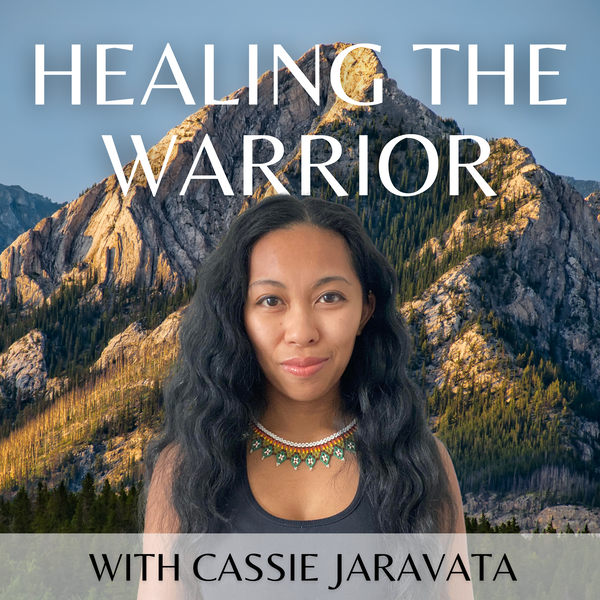 Artwork for Healing The Warrior