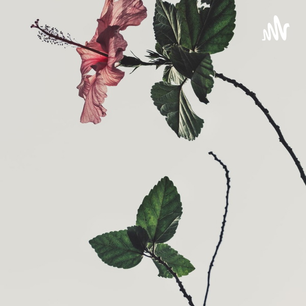 Artwork for Health Care Insider