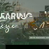 Hearing Jesus: Daily Bible Study, Daily Devotional, Hear From God, Prayer, Christian Woman, Spiritual Life, Build a Relations