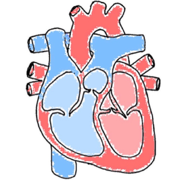 Artwork for HEART & EKG