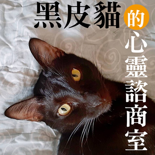 Artwork for 黑皮貓的心靈諮商室