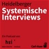 Heidelberger Systemische Interviews
