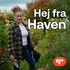 Hej fra Haven