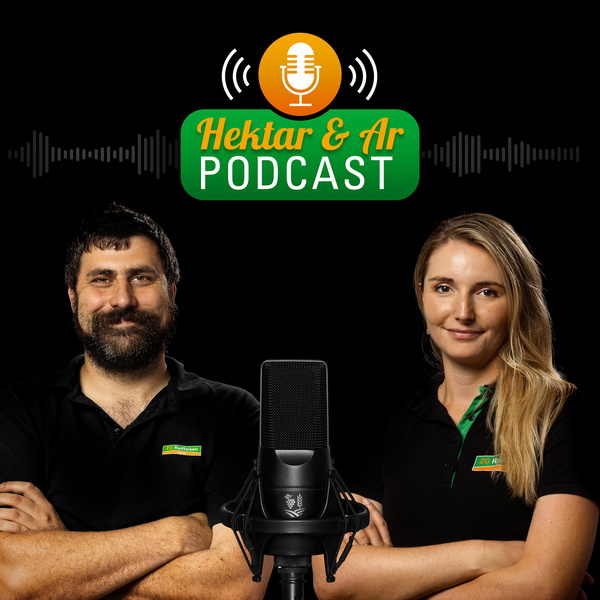 Artwork for Hektar & Ar