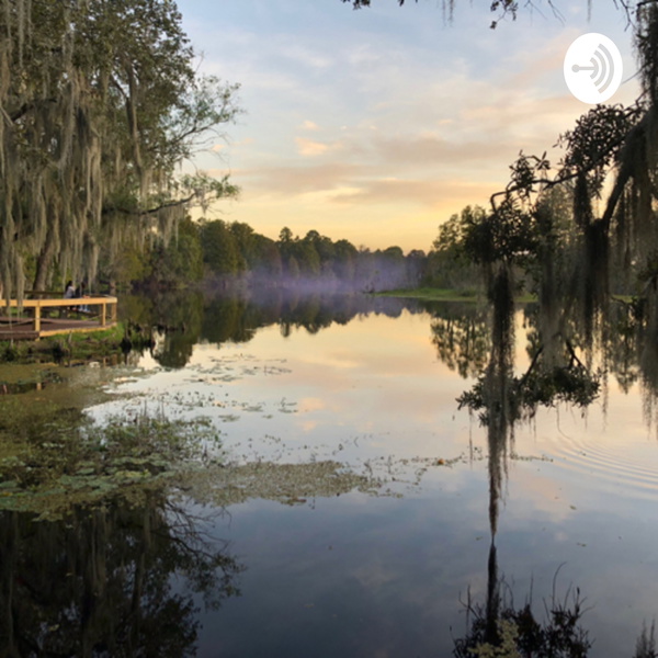 Artwork for Help Heal Nspire