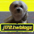 j172tw Blogz 狩獵幸福的痞子紳士
