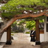 横山瑞法のお寺の縁側ラジオ