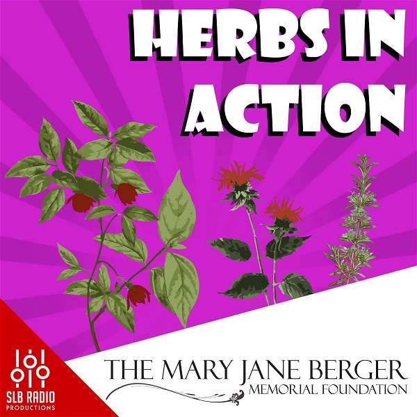 Artwork for Herbs in Action